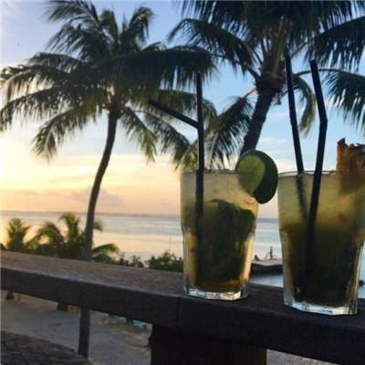 梦想之旅内购破解版下载